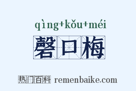 磬口梅是什么意思的图片